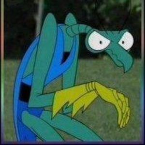 Meet your Posher, Steve